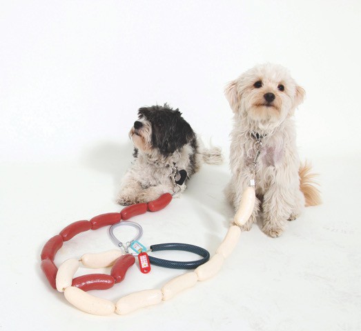 sunwies-sausage-dog-leash-wurst-hundeleine