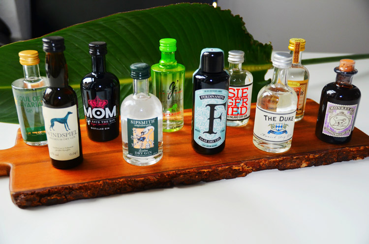 -gin-tasting-set-10-miniaturen-21