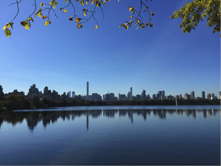 nyc6