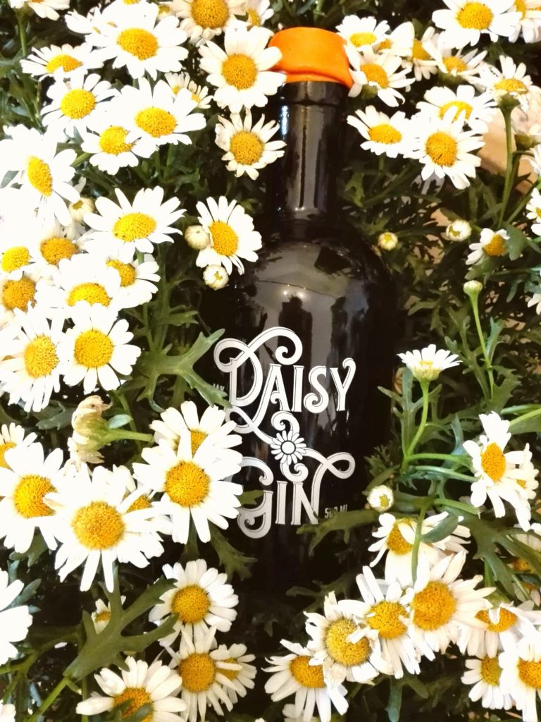 -daisy-bio-gin-22