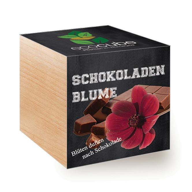 -ecocube-schokoladenblume-24