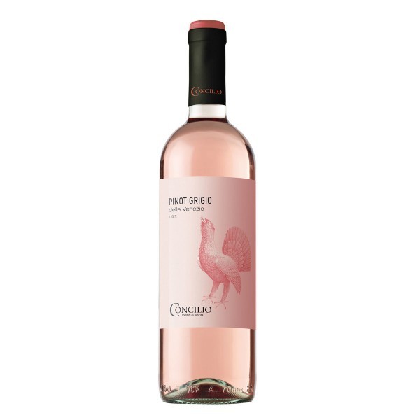 -pinot-grigio-dell-venezie-21