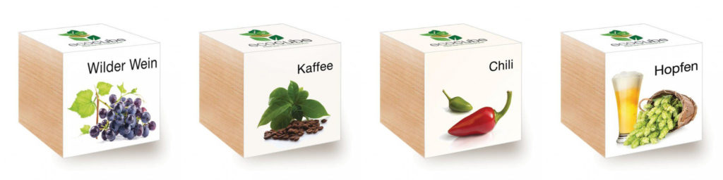 le bloc ecocube